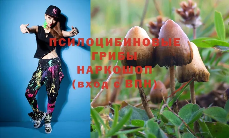 blacksprut зеркало  Аткарск  Псилоцибиновые грибы Cubensis  купить наркотики сайты 